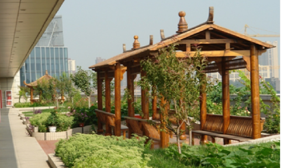 华卫天和大健康产业基地