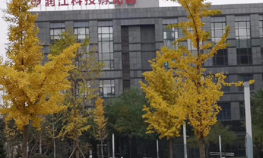 润江科技孵化器