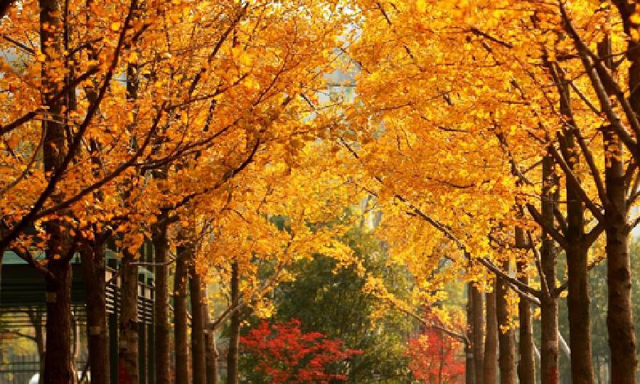 杭州市高科技企业孵化园区