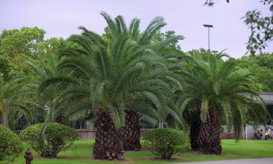 北京服装学院晨风时尚产业园