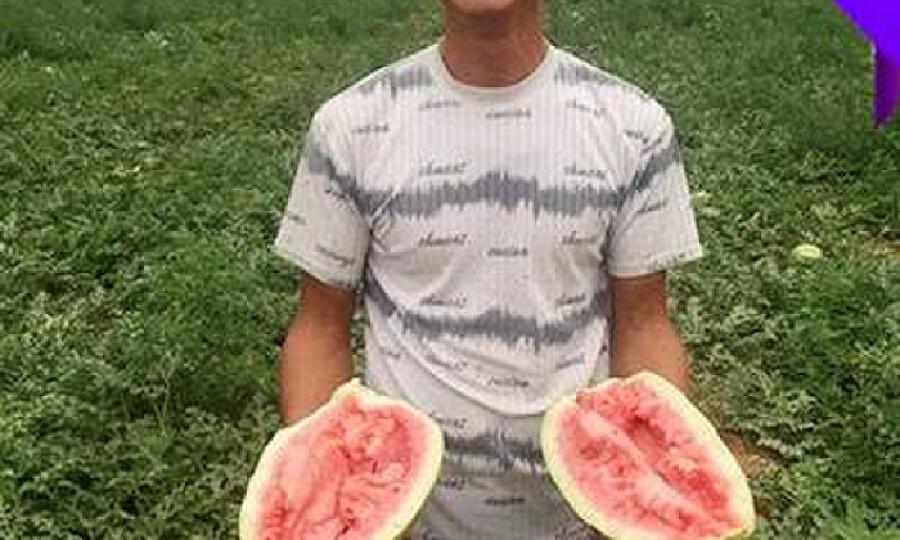 槟果农牧星创天地