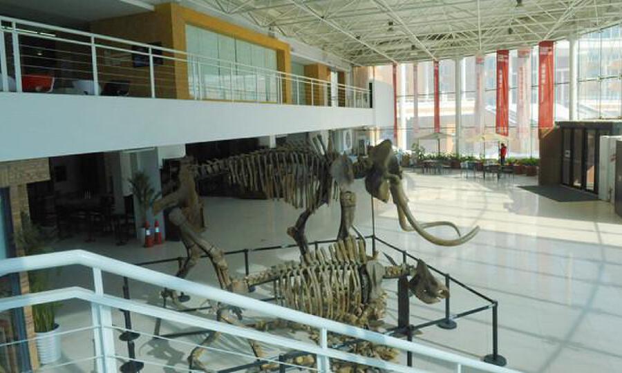 吉林省东北亚文化创意科技园