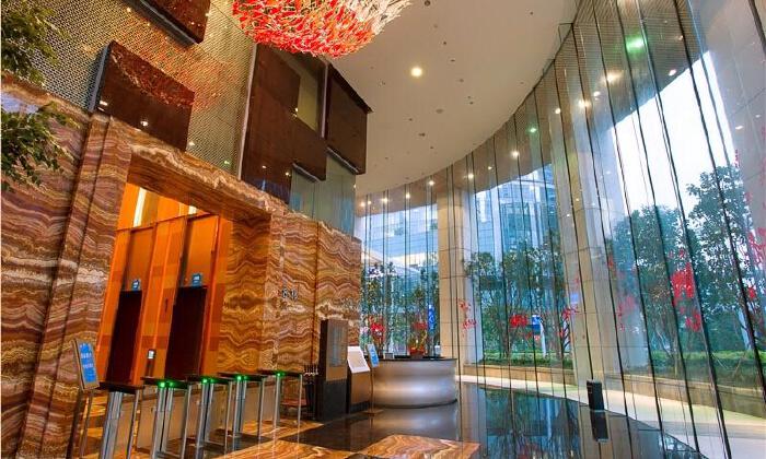 德培利TMT孵化器