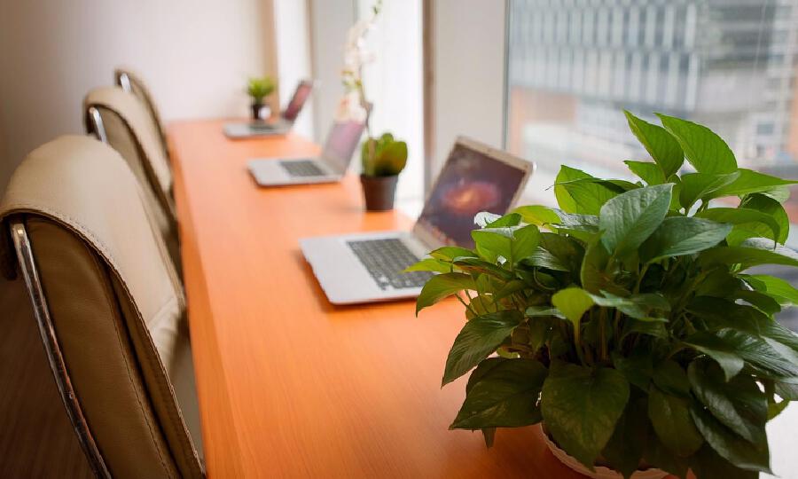 德培利TMT孵化器