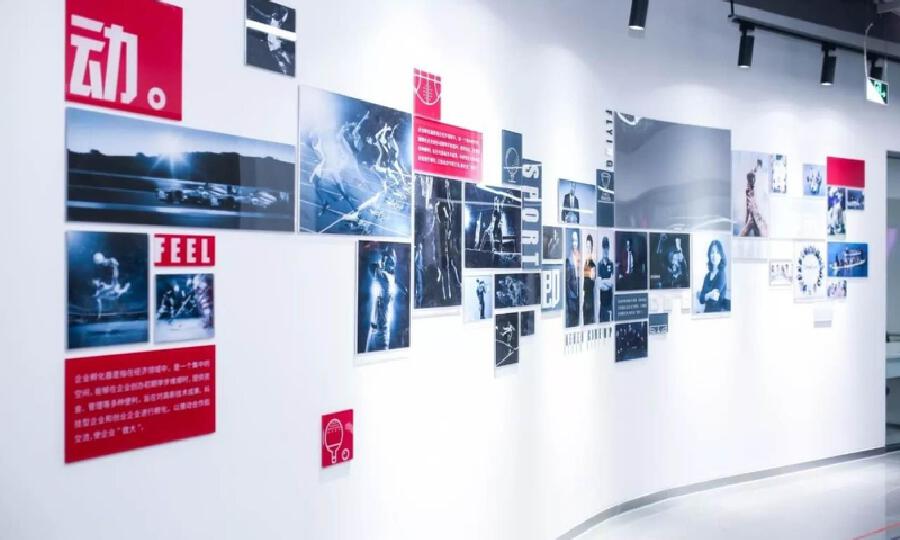 运动家-回+体娱加速器