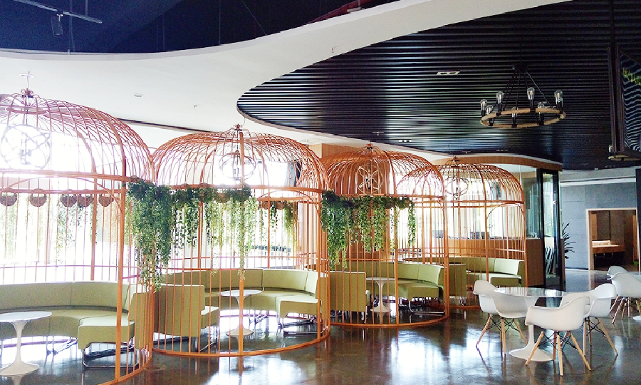 重庆大学生微企梦花园