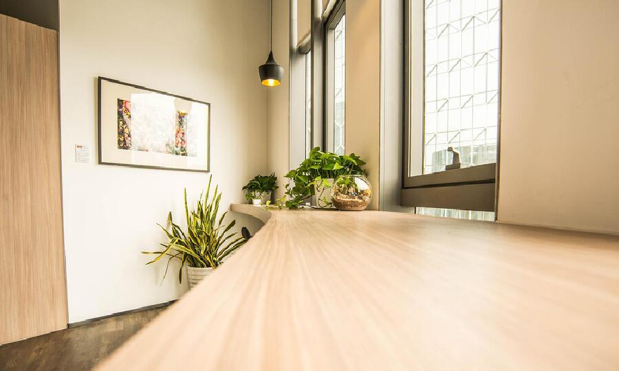 DayDayUp飞牛科技