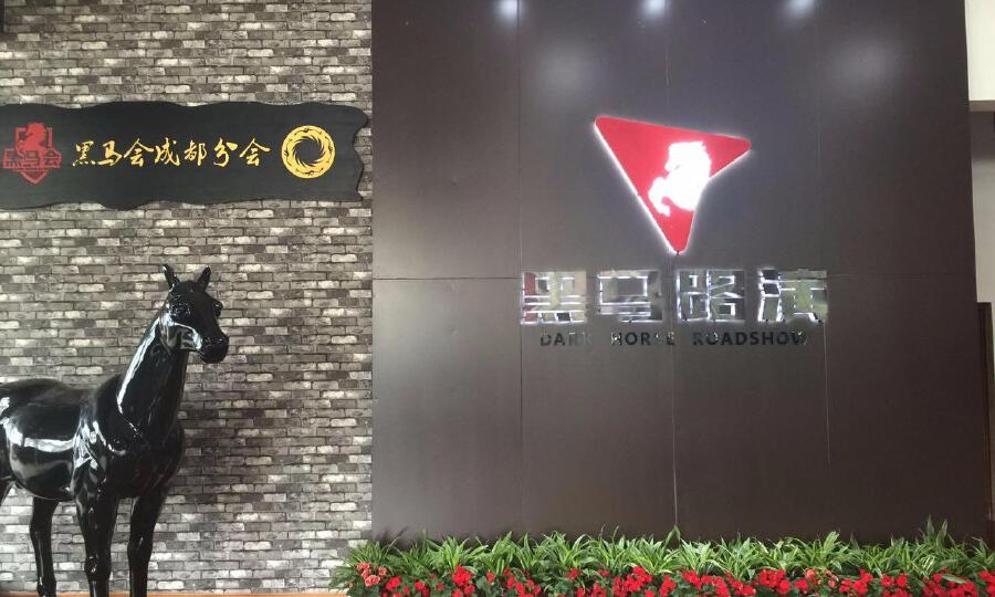 成都创业未来信息技术有限公司