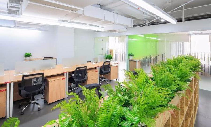 北大创业孵化器