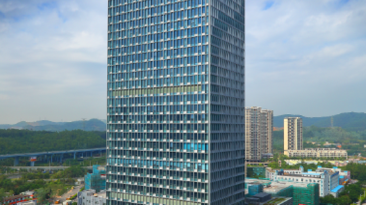 龙岗创投大厦