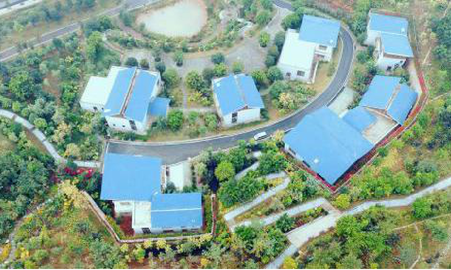 海龟控股有限公司