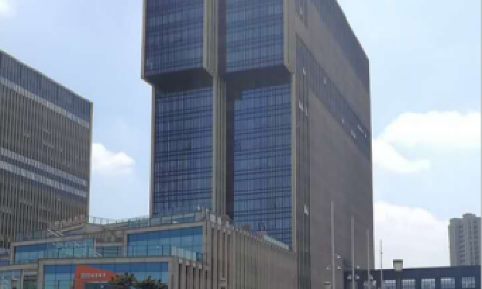 海龟控股有限公司