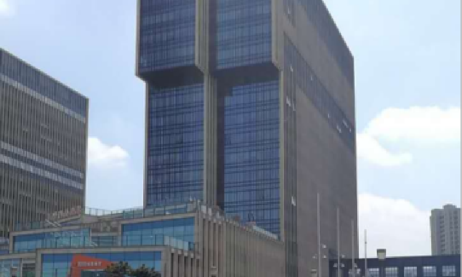 海龟控股有限公司