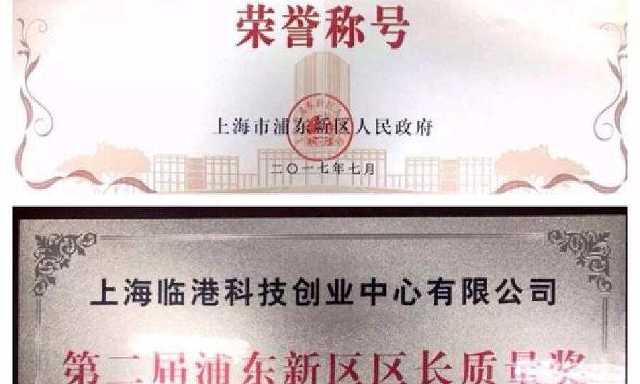 上海临港科技创业中心有限公司