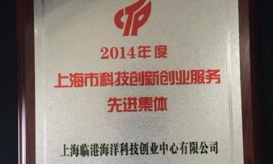 上海临港科技创业中心有限公司