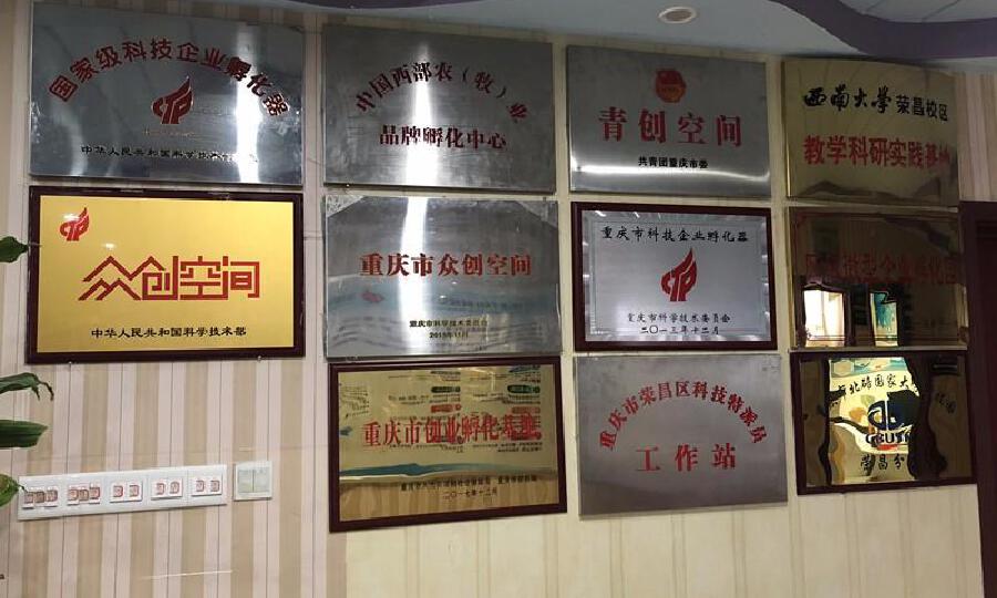 荣昌国家高新区古思特创客空间