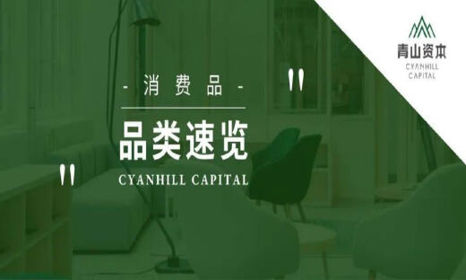 青山投研丨消费品品类速览015: 休闲服饰