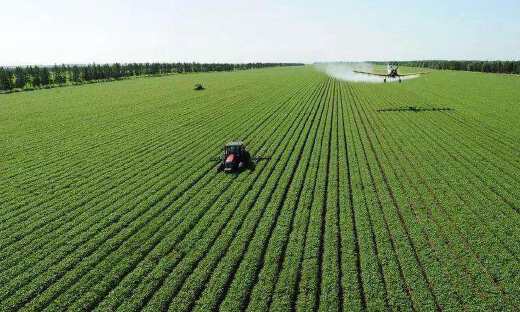 技术驱动型，清华校友背景的水木九天打造都市新农业