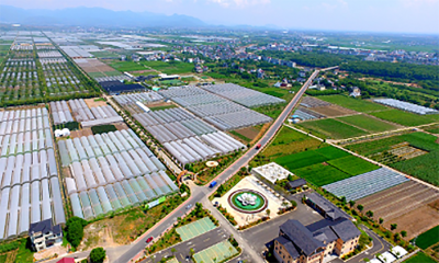 阿里数字农业衢州再布新局，打造“华东数字化菜篮子”