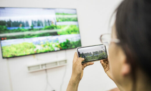 聚焦野外窄带物联网低功耗建设，赛尔克斯的智慧农业新方向