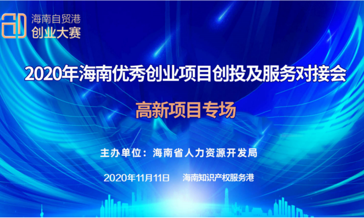 2020年海南优质创业项目创投及服务对接会 ——高新项目专场对接活动圆满结束