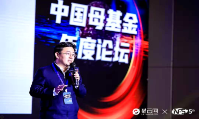 北京大兴投资集团总经理常学智：投资基金是区域高质量发展的牛鼻子