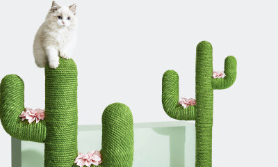 宠物生活方式品牌未卡VETRESKA完成2000万美元两轮融资