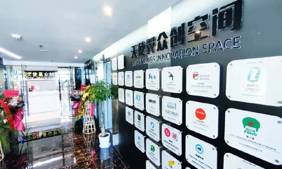 天使翼创新型孵化器