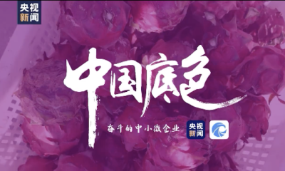 国潮汉服、无人驾驶、物流仓储速度...央视新闻联合天眼查见证中国底色