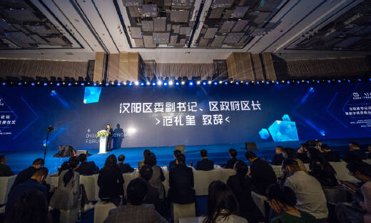 汉阳数字经济高峰论坛圆满举办，打造高质量发展新引擎