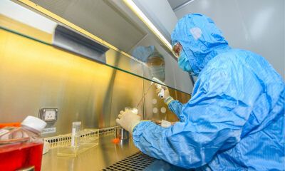 博奥信完成B+轮融资，持续打造创新抗体开发平台