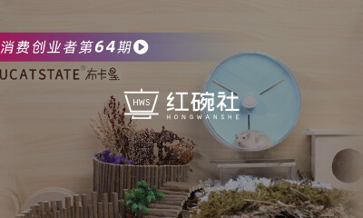 主打造景，依靠私域，千万销量的布卡星要做一个全球化的小宠物品牌