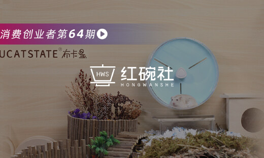 主打造景，依靠私域，千万销量的布卡星要做一个全球化的小宠物品牌