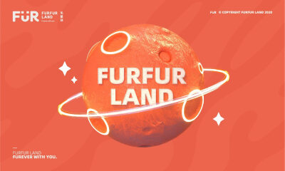 毛星球FurFur Land完成数千万Pre- A 轮融资，用互联网的方式打造宠物新锐品牌