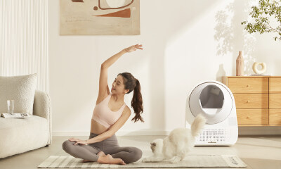 三年增长近10倍，CATLINK智能猫砂盆背后如何诠释宠物全屋智能