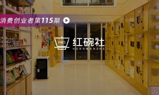 小猫来了：从活体切入千亿宠物猫赛道，如何做宠物行业数字化开拓者