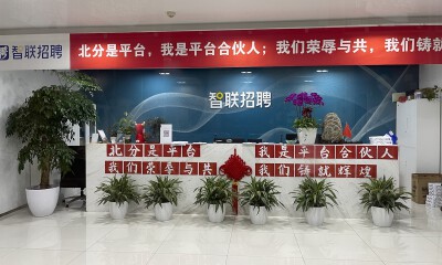 核心高管变动，前VIPKID总裁出任智联招聘集团总裁