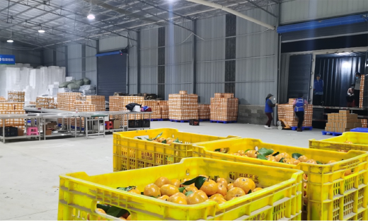 淘特摘得7月App Store月度下载冠军，持续29天霸榜购物榜