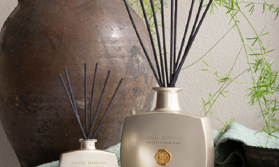 香气正在成为年轻人的社交密码，进口香氛消费加速增长