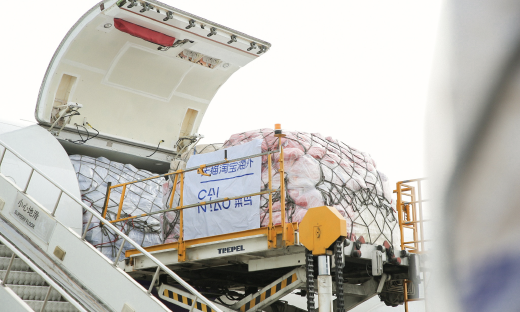 中式炒锅热销东南亚，菜鸟实现中国-东南亚跨境物流再升级