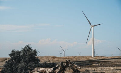 高瓴，40亿碳中和新基金落地南京