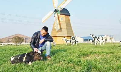 美团龙珠领投，乳业新品牌认养一头牛完成B轮融资