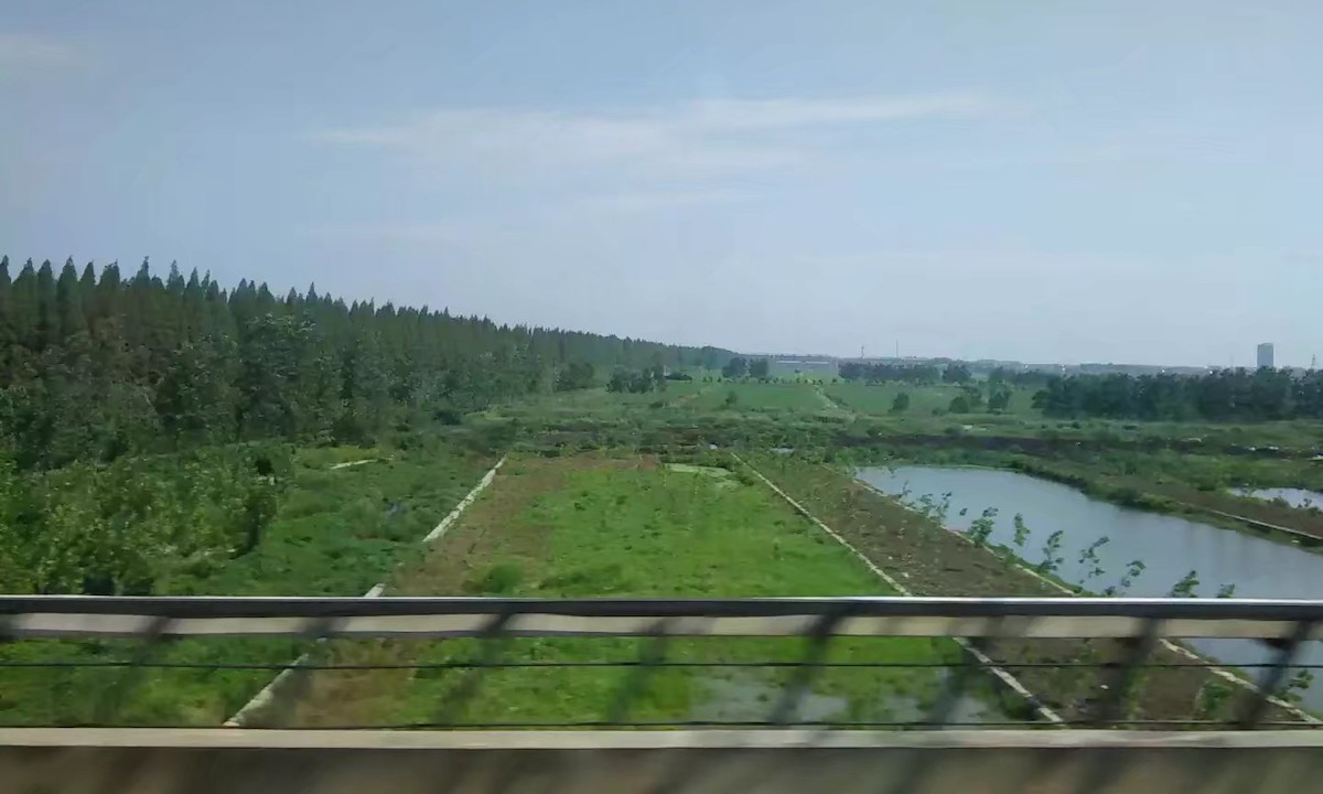 合成生物固氮技术开发平台绿氮生物完成千万元种子轮融资，源码资本独家投资