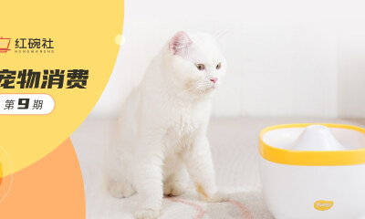 年销百万的新锐品牌蛮果，如何用实用主义产品切入宠物用品赛道