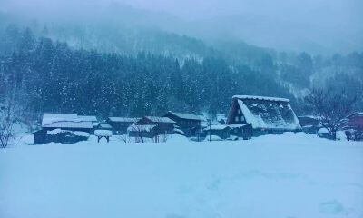 今年春节，VC投资人不滑雪