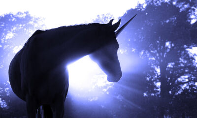 5轮融资30多亿的独角兽宣布倒闭