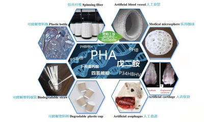 微构工场完成A轮2.5亿元融资，搭建万吨PHA生产基地