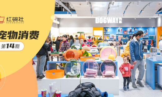 月销破百万，旗舰店面积上千平，狗道专注shopping mall一站式满足养宠家庭需求