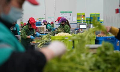 叮咚买菜以“撤”为进