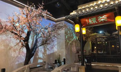 网红不红，绿茶餐厅IPO三度折戟港交所